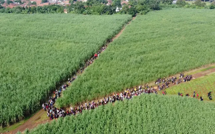 Lahan Bekas Hgu Pabrik Gula Di Subang Diberikan Kepada Masyarakat Petebu Petani Tebu Bersatu